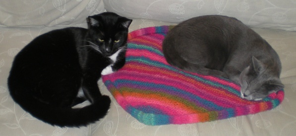 Moonstone and Triquet, with cat mat I made.